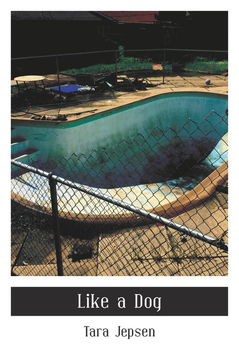 Cover image for book Like a Dog