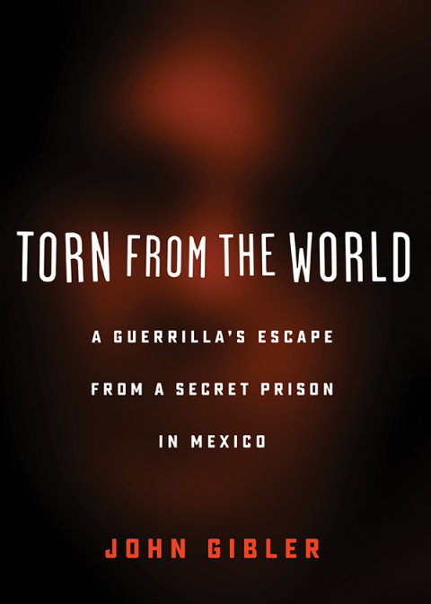 Cover image for book Torn from the World