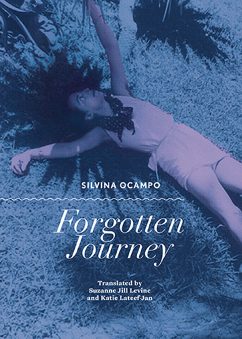Cover image for book Forgotten Journey