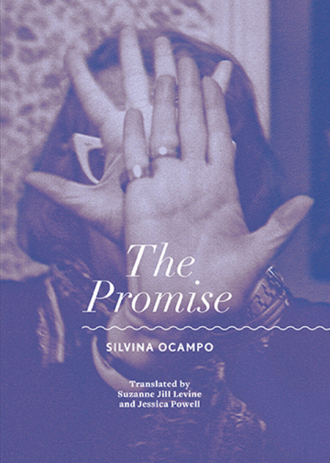 Cover image for book The Promise