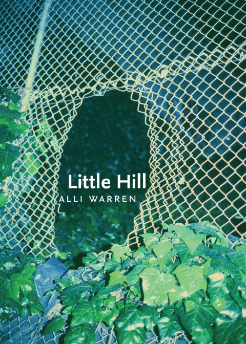 Cover image for book Little Hill