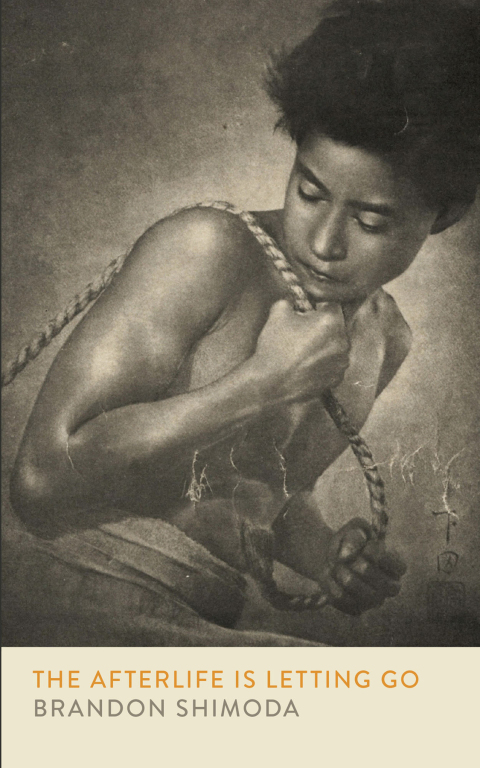 Cover image for book The Afterlife is Letting Go