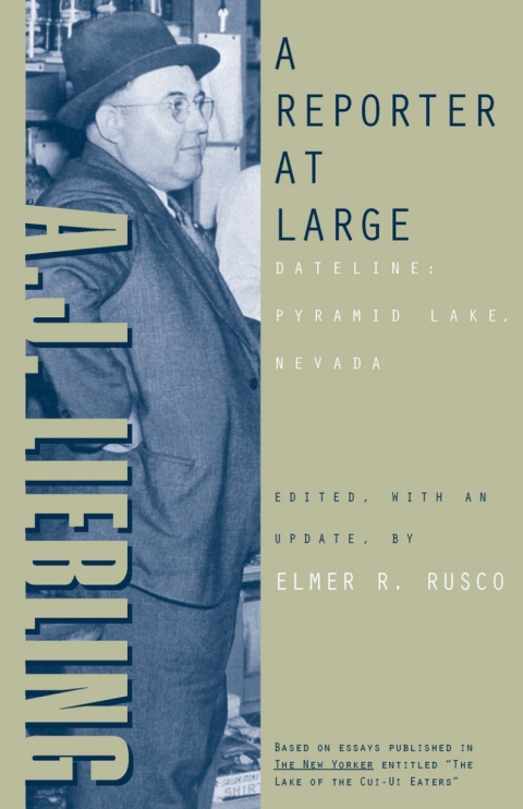 Cover image for book A Reporter At Large: Dateline