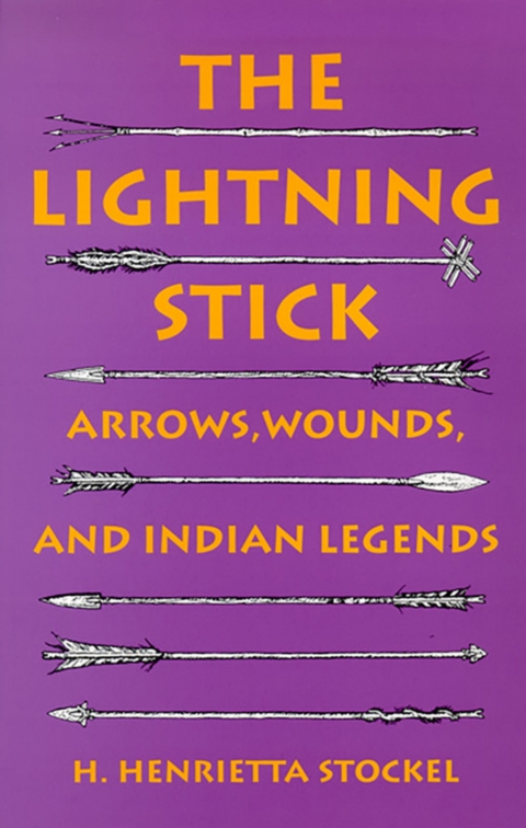 Cover image for book The Lightning Stick