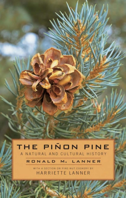 Cover image for book The Pinon Pine