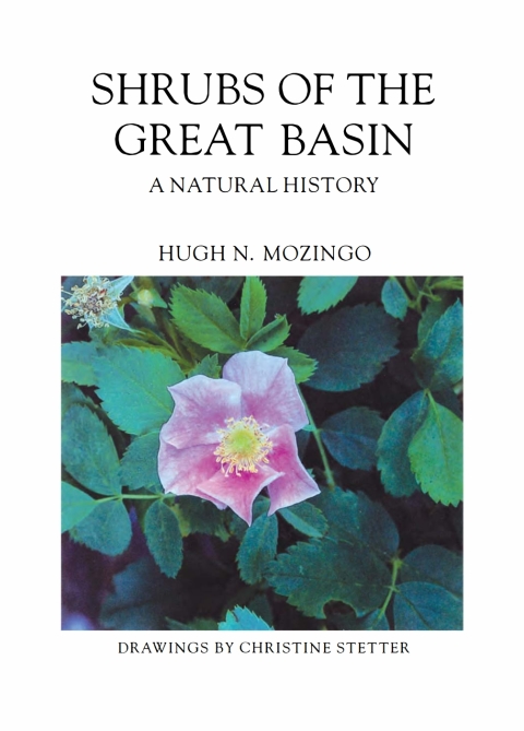 Cover image for book Shrubs Of The Great Basin