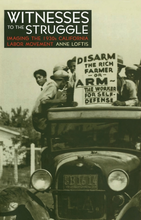 Cover image for book Witnesses to the Struggle