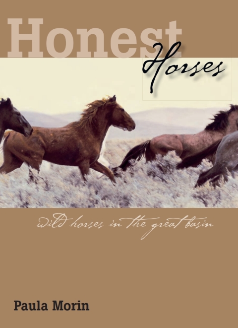 Cover image for book Honest Horses