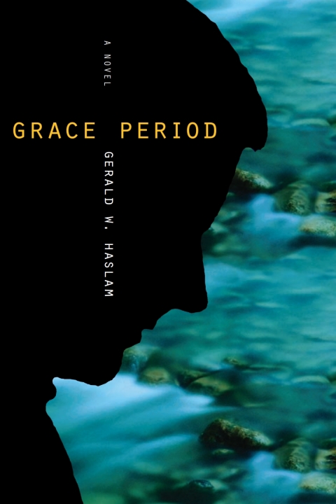 Cover image for book Grace Period
