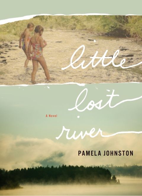 Cover image for book Little Lost River