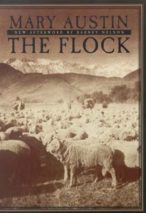 Cover image for book The Flock