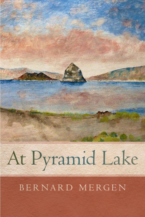 Cover image for book At Pyramid Lake