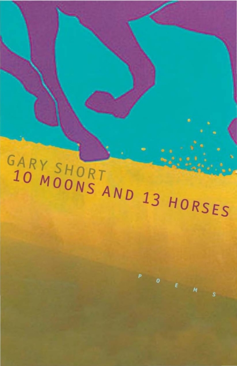 Cover image for book 10 Moons And 13 Horses