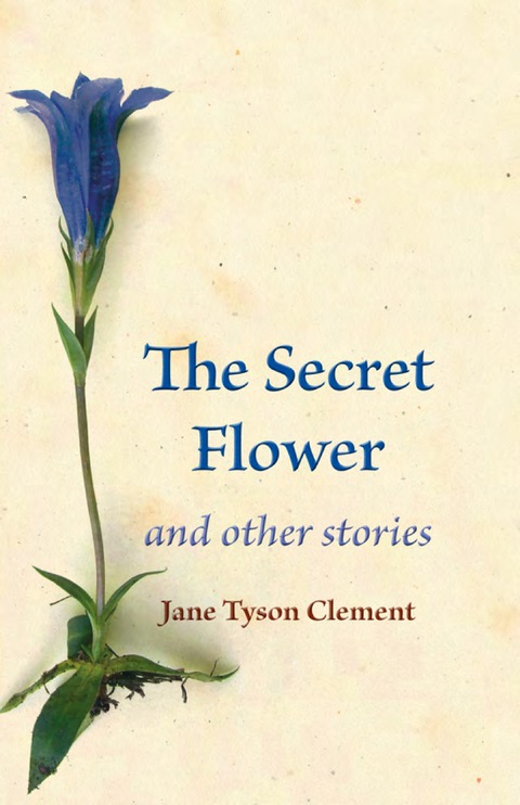 Cover image for book The Secret Flower