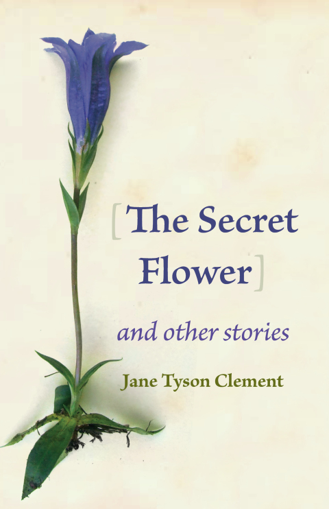Cover image for book The Secret Flower