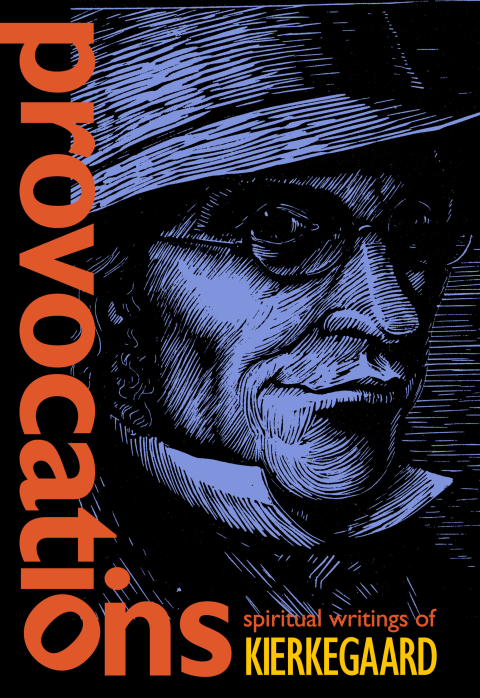 Cover image for book Provocations