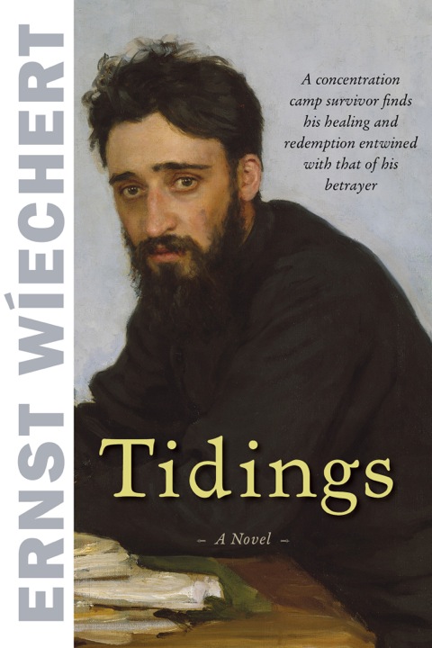 Cover image for book Tidings