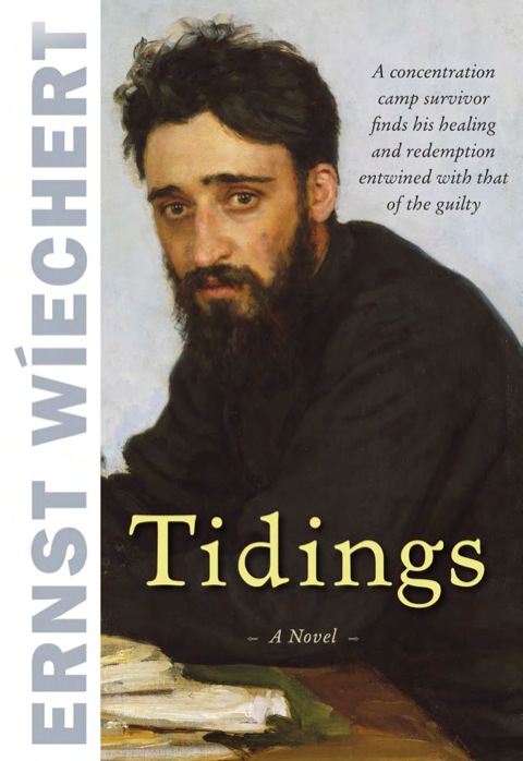 Cover image for book Tidings