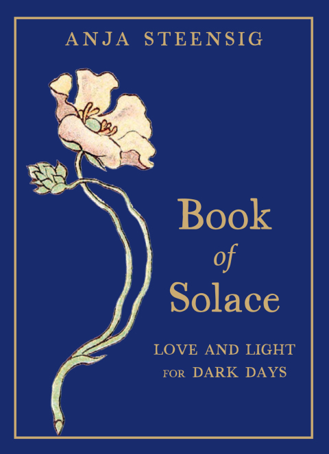 Cover image for book Book of Solace