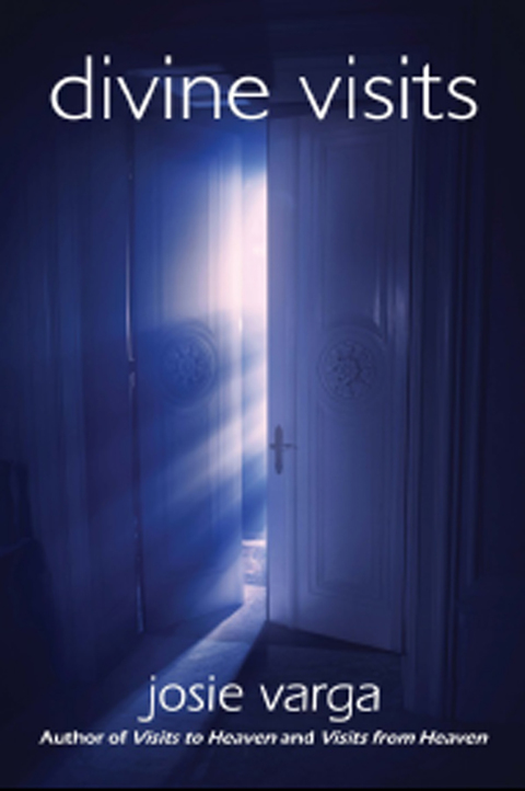 Cover image for book Divine Visits
