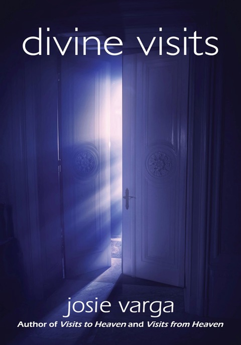 Cover image for book Divine Visits