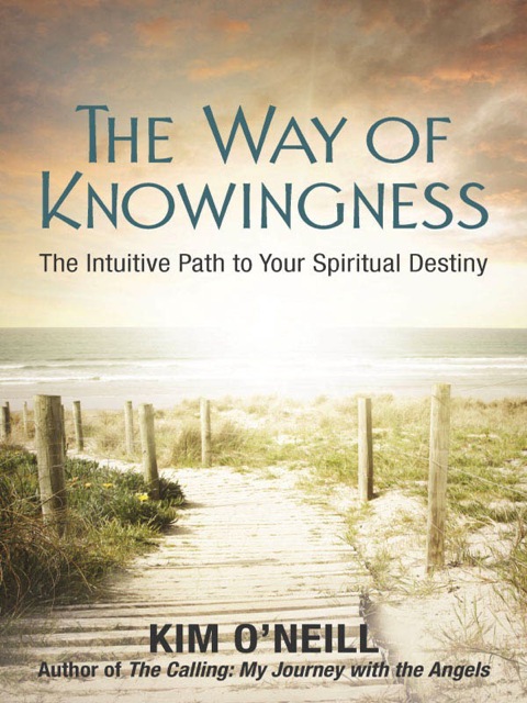 Cover image for book The Way of Knowingness