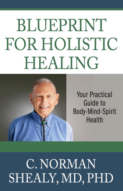 Cover image for book Blueprint for Holistic Healing