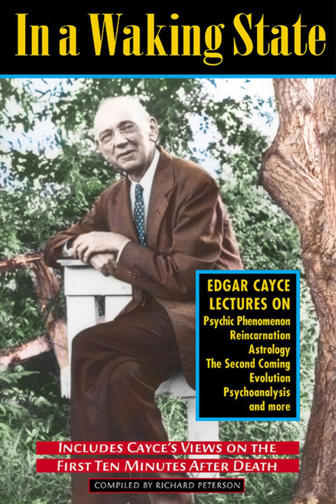 Cover image for book In a Waking State