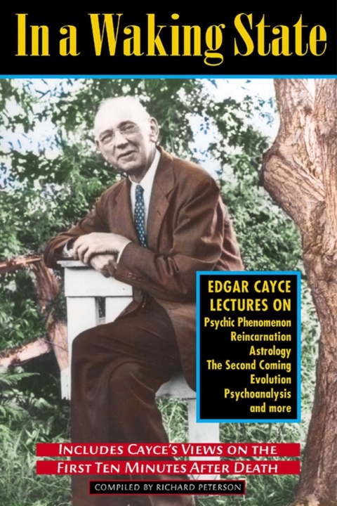 Cover image for book In a Waking State