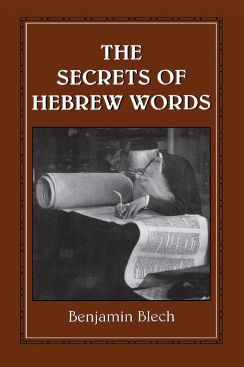 Cover image for book The Secrets of Hebrew Words