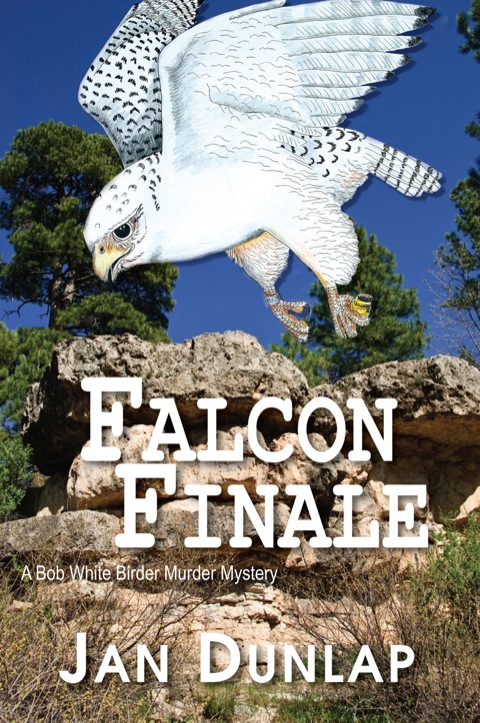 Cover image for book Falcon Finale