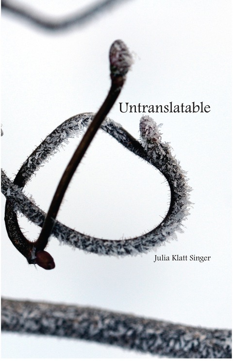Cover image for book Untranslatable
