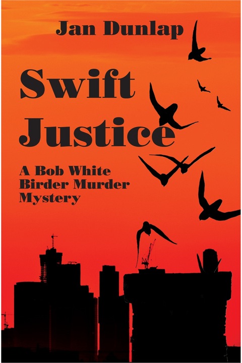 Cover image for book Swift Justice