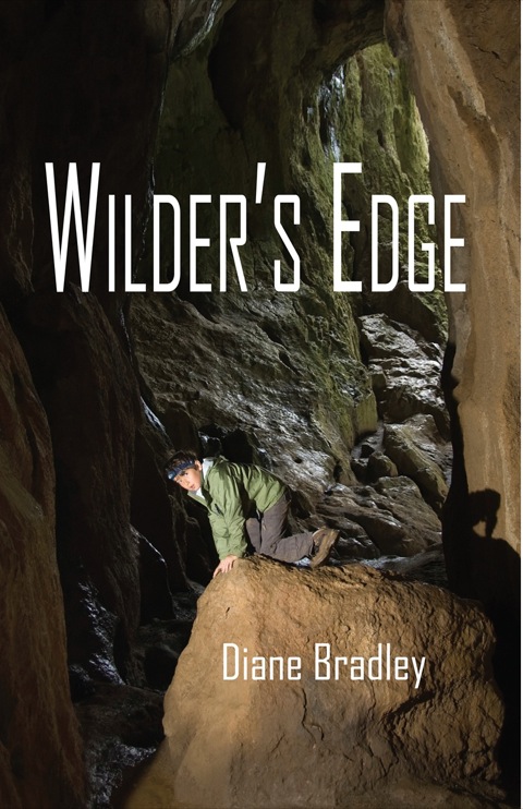 Cover image for book Wilder's Edge