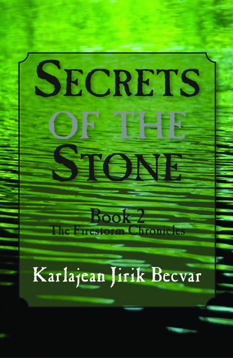 Cover image for book Secrets of the Stone