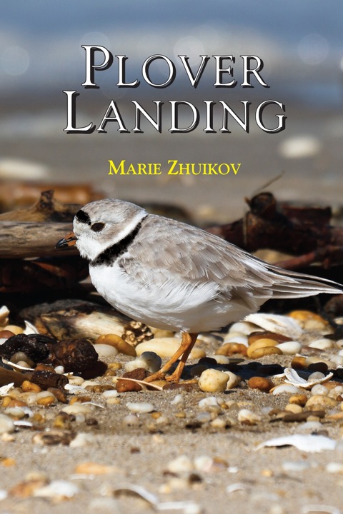 Cover image for book Plover Landing