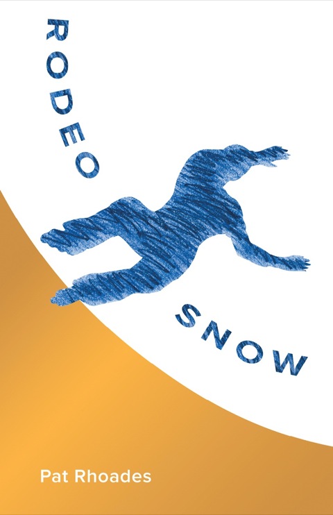 Cover image for book Rodeo Snow