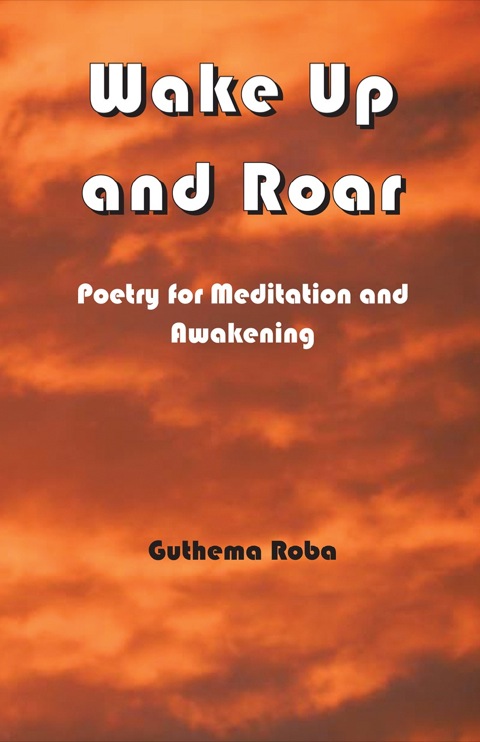 Cover image for book Wake Up and Roar