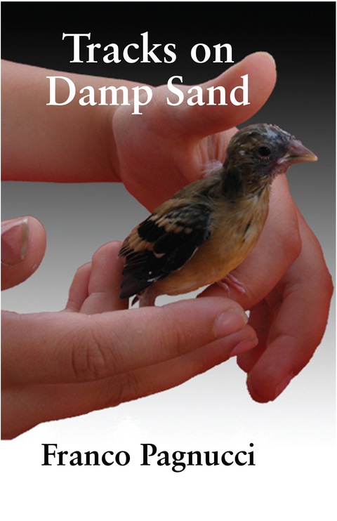 Cover image for book Tracks on Damp Sand