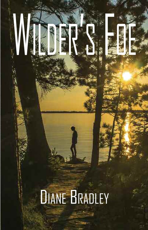 Cover image for book Wilder's Foe