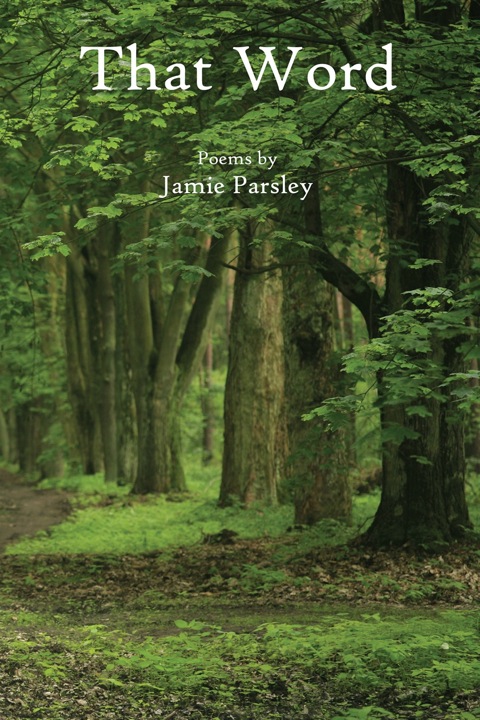 Cover image for book That Word