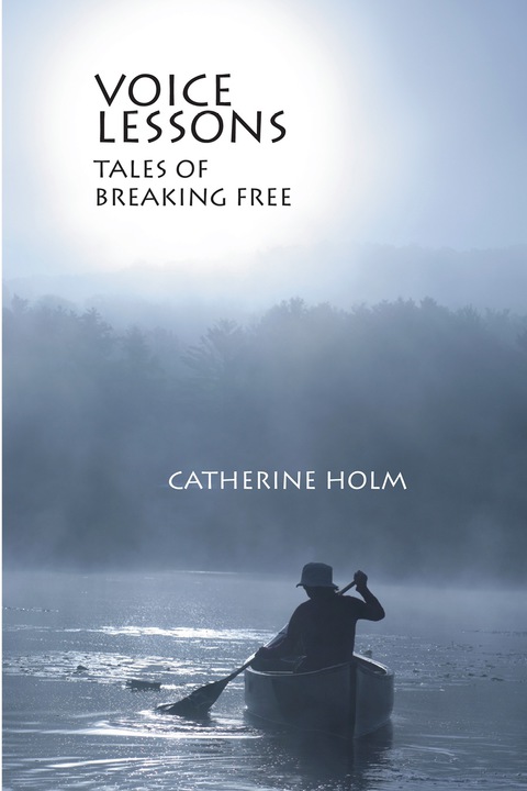 Cover image for book Voice Lessons