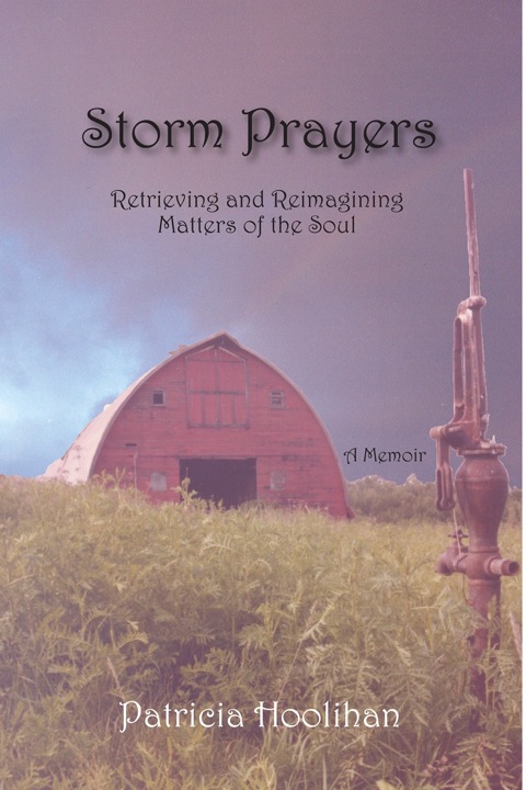 Cover image for book Storm Prayers