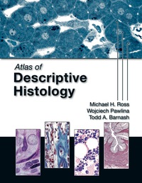 Cover image: Atlas of Descriptive Histology 9780878936960