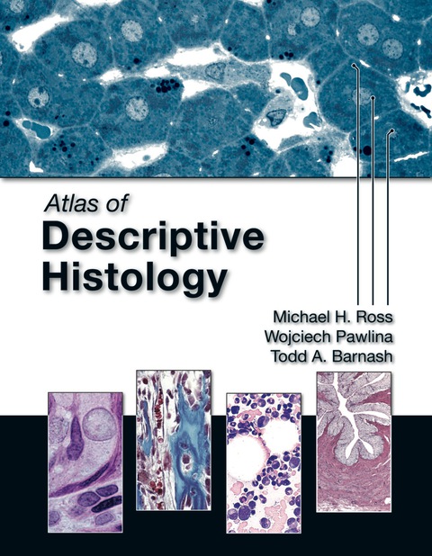 Cover image for book Atlas of Descriptive Histology
