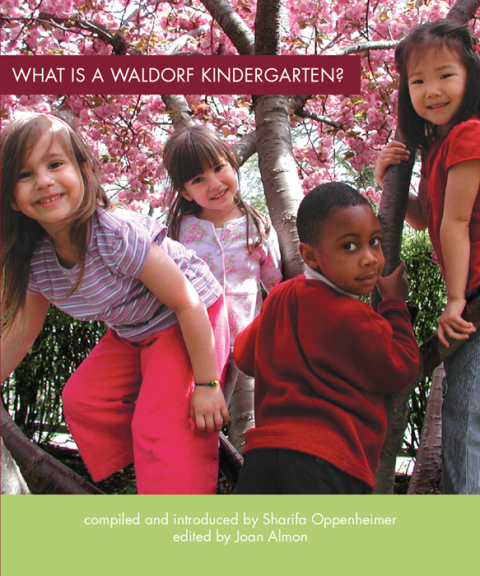Cover image for book What Is a Waldorf Kindergarten?