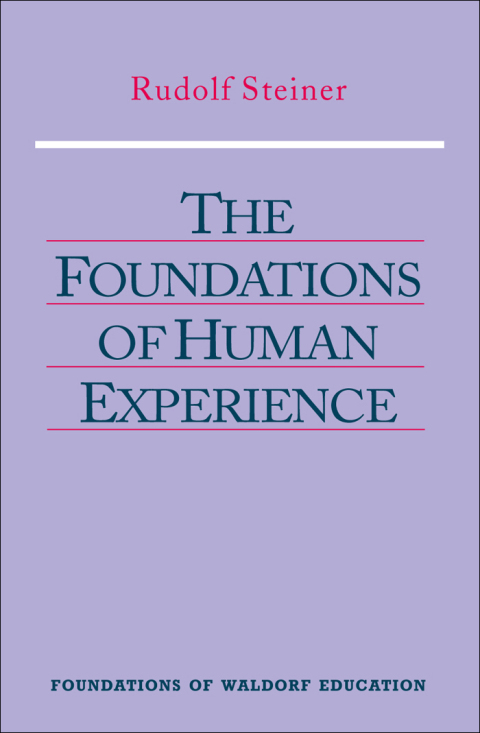 Cover image for book The Foundations of Human Experience