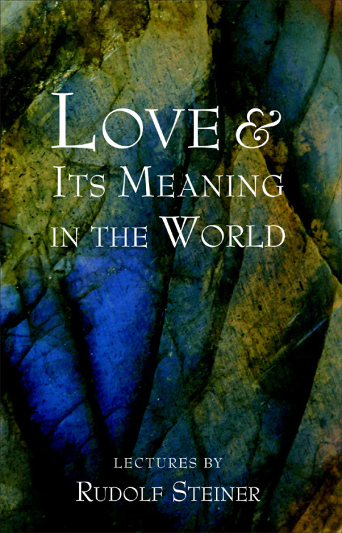 Cover image for book Love and Its Meaning in the World