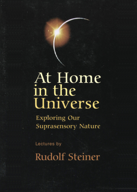 Cover image for book At Home in the Universe