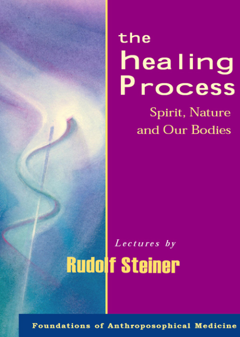 Cover image for book The Healing Process